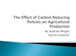 The Effect of Carbon Reducing Policies on Agricultural Production