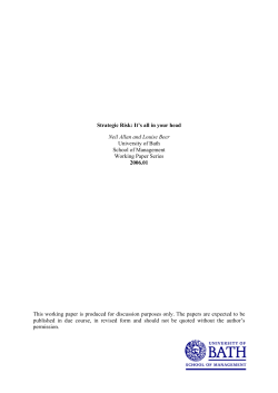 Strategic Risk - University of Bath