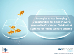 Strategies to tap Emerging Opportunities for Small Players involved