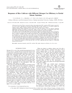 Responses of Rice Cultivars with Different Nitrogen Use Efficiency to
