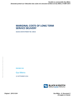 MARGINAL COSTS OF LONG TERM SERVICE DELIVERY