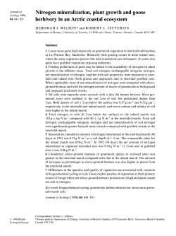 Nitrogen Mineralization, Plant Growth and Goose Herbivory in an