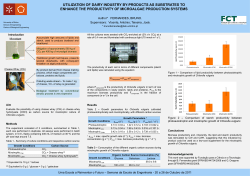 Microalgae Cheese Whey (CW)