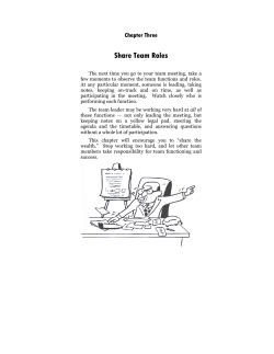 Share Team Roles - Extraordinary Team