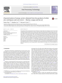 Characterization of energy carriers obtained from the pyrolysis of