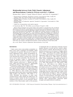 Relationship between Grain Yield, Osmotic Adjustment and