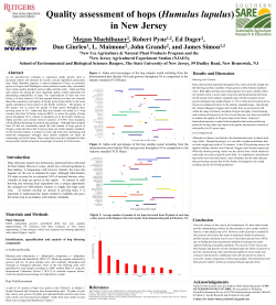 Quality assessment of hops - Sustainable Agriculture Research and