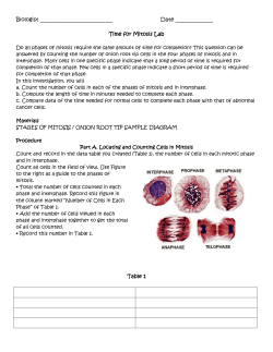 Mitosis Time Lab