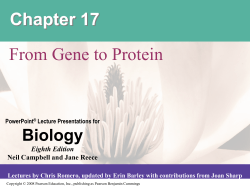 (mRNA) Translation