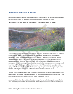 Keep your leaves out of the lake - Missouri Master Naturalist Lake of