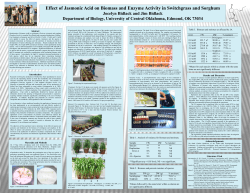 Effect of Jasmonic Acid on Biomass and Enzyme Activity in