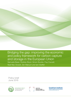 Bridging the gap: improving the economic and policy framework