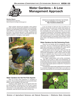 NREM-100 Water Gardens - A Low Management