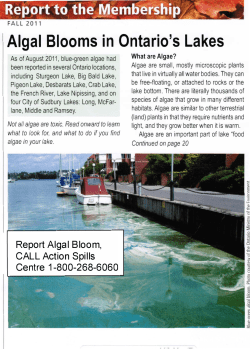 Algal Blooms in Ontario`s Lakes - Lake Nipissing State of the Basin