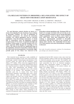 co2 release patterns in drosophila melanogaster