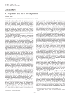 ATP synthase and other motor proteins
