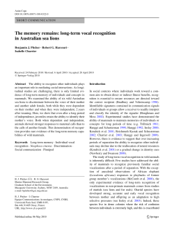 The memory remains: long-term vocal - Universit&eacute; Paris-Sud
