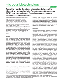 From the root to the stem: interaction between the biocontrol root