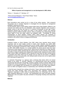 Effect of species and management on root development in SRC