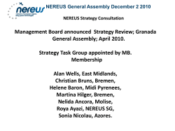 NEREUS Strategy Consultation
