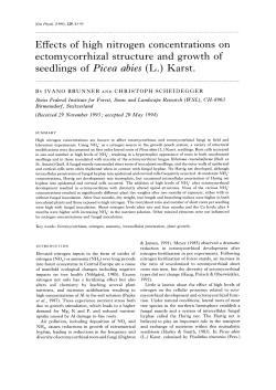 Effects of high nitrogen concentrations on ectomycorrhizal structure