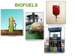 BIOFUELS