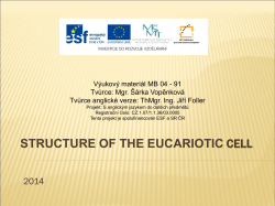 The Structure of Eukaryotic Cells