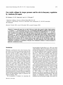 Gas vesicle collapse by turgor pressure and its role in