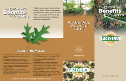 Plants Add Value to Life!