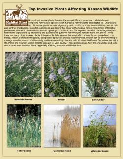 Top Invasive Plants Affecting Kansas Wildlife