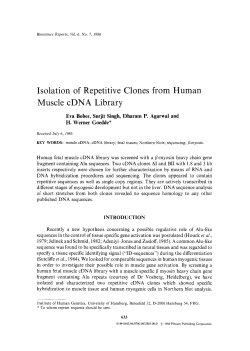 Isolation of repetitive clones from human muscle cDNA library