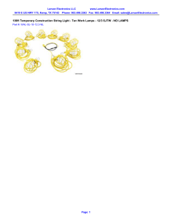 100ft Temporary Construction String Light - Ten Work Lamps