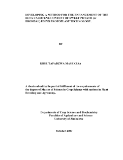 DEVELOPING A METHOD FOR THE ENHANCEMENT OF THE