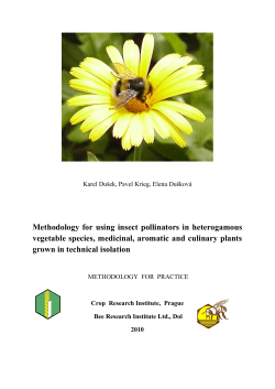 Methodology for using insect pollinators in heterogamous vegetable