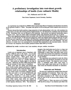 A preliminary investigation into root