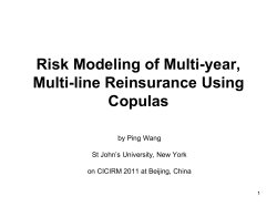 Risk Modeling of Multi-Year, Multi