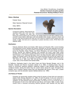 Common Name (Scientific name)