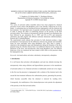 1 MODIFICATION OF THE POROUS STRUCTURE ALONG
