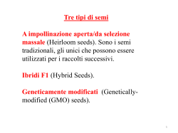 Presentazione standard di PowerPoint
