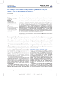 Building a functional multiple intelligences theory to advance