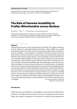The Role of Genome Instability in Frailty: Mitochondria versus Nucleus