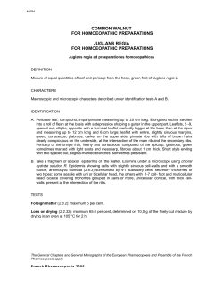 Common walnut FHP / Juglans regia PPH