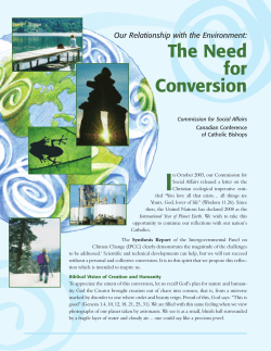 Our Relationship with the Environment: The Need for Conversion