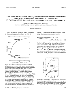 A regulatory mechanism for CO2 assimilation in plant photosynthesis