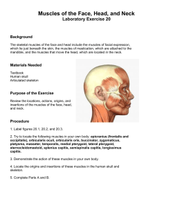 Muscles of the Face, Head, and Neck Laboratory Exercise 20