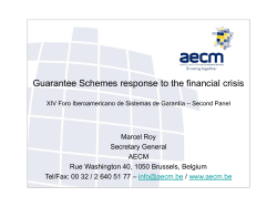 Internationalization of SMEs - Red Iberoamericana de Garant&iacute;as
