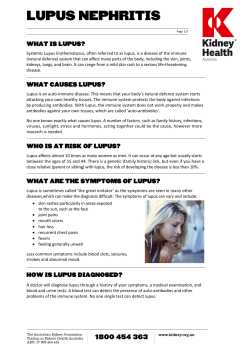 lupus nephritis - Kidney Health Australia