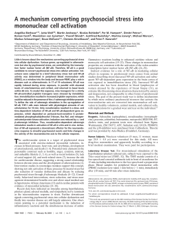 A mechanism converting psychosocial stress into mononuclear cell
