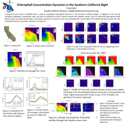 Chlorophyll Concentration Dynamics in the Southern California Bight