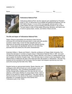 HANDOUT #1 Name: Date: PD: ______ Yellowstone National Park
